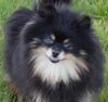 Tlc Lovely Tracy