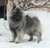 Иллада Фея Счастья