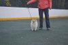 Себастьян Барон С Рублевки