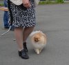 Санта Лючия