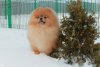 Небесная Радуга Ольсен Оф Диаманд