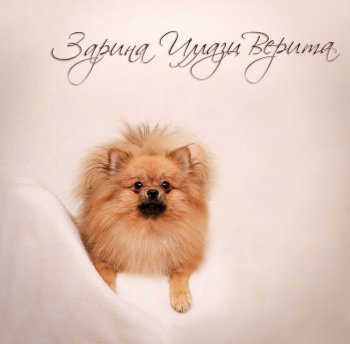 Зарина Иллази Верита