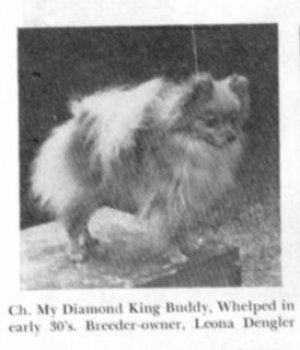My Diamond King Of Buddy