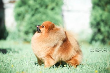 Магнетик Мэджик Кисс Ми