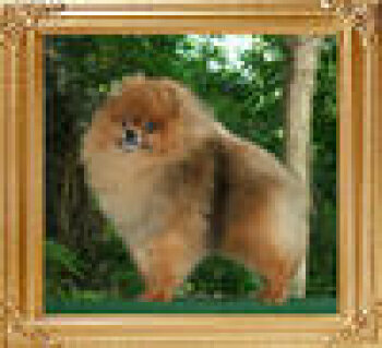 Andwari Of Kuo Lung Lin Kennel