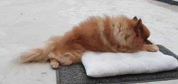 Оливер