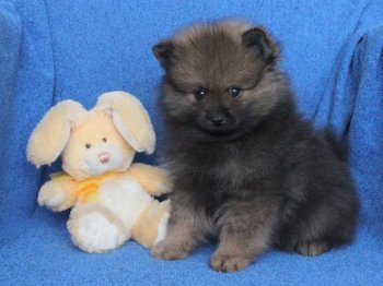 Крепкий Орешек Руслан
