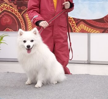Зима От Килиной