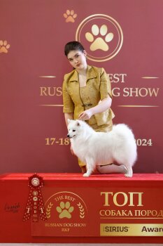 Гати Изящная