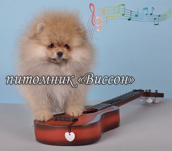 Виссон Джаз