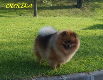Ourika