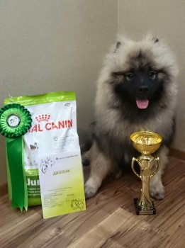 Eiran Vidjis Pride