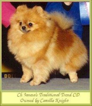 Janesa's Traditional Trend Cd