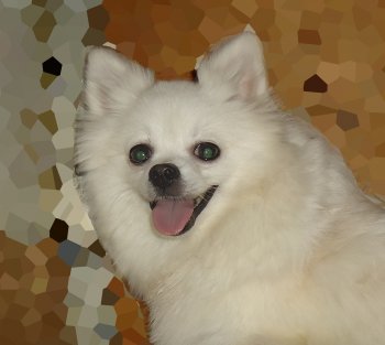 Вивьен